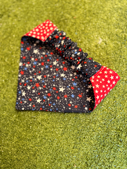 Dog Bandana