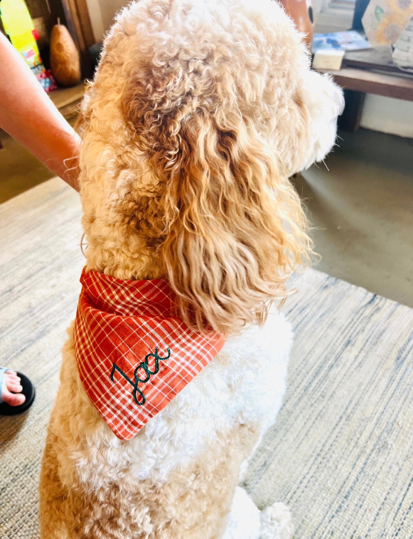 Dog Bandana