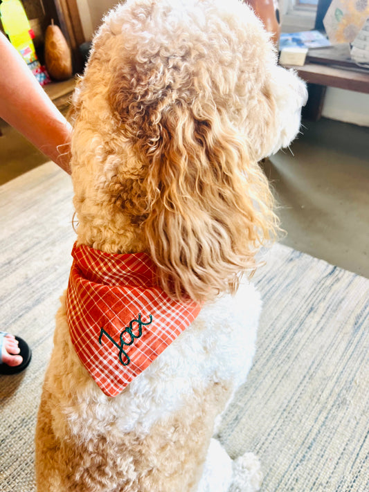 Dog Collar Bandanna