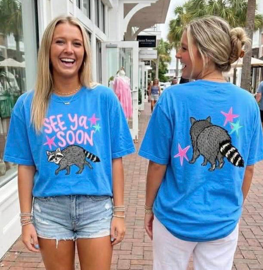 See ya soon Raccoon