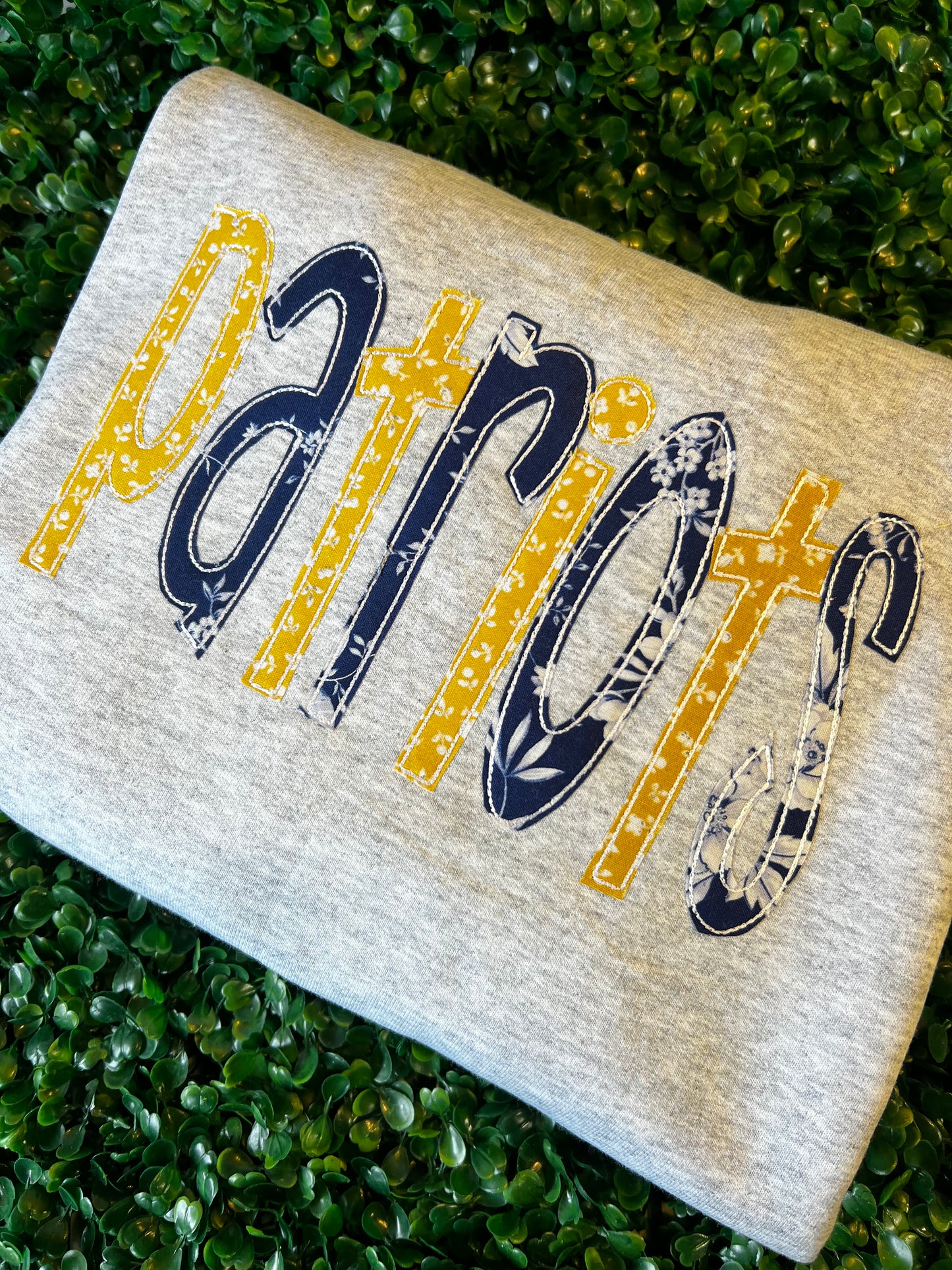 School Mascot Appliqué Sweatshirt